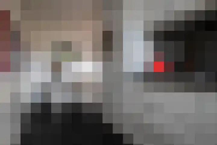 Roebol 13 Genemuiden thumbnail 26