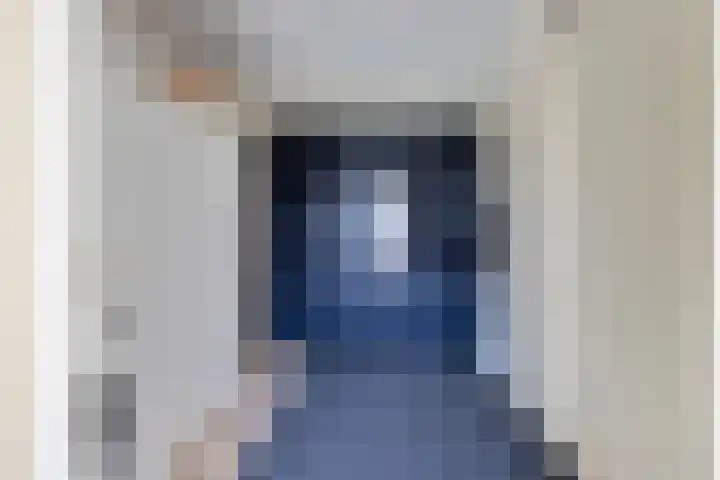 Roebol 13 Genemuiden thumbnail 28