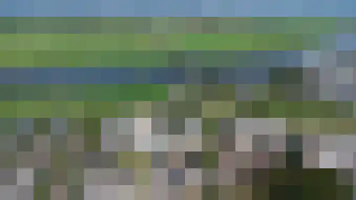 Roebol 13 Genemuiden thumbnail 31