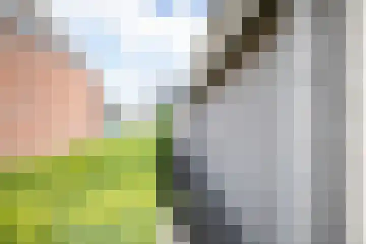 Roebol 13 Genemuiden thumbnail 32