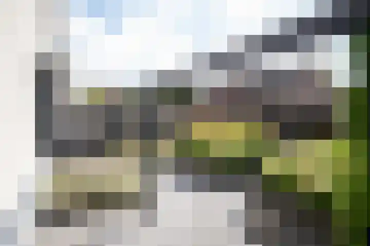 Roebol 13 Genemuiden thumbnail 33