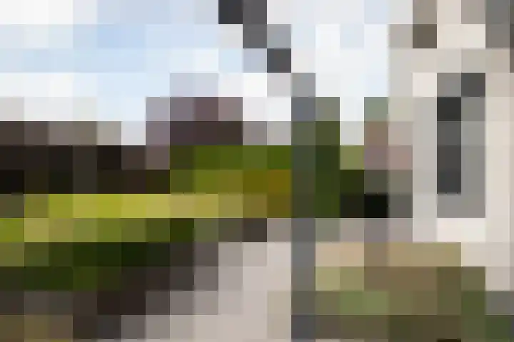 Roebol 13 Genemuiden thumbnail 34