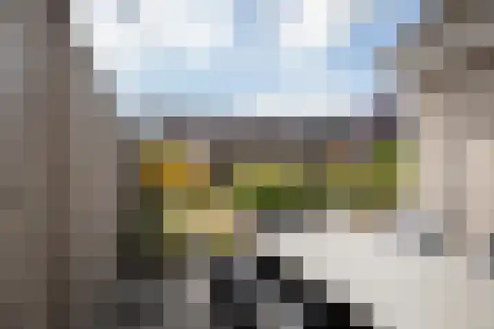 Roebol 13 Genemuiden thumbnail 36