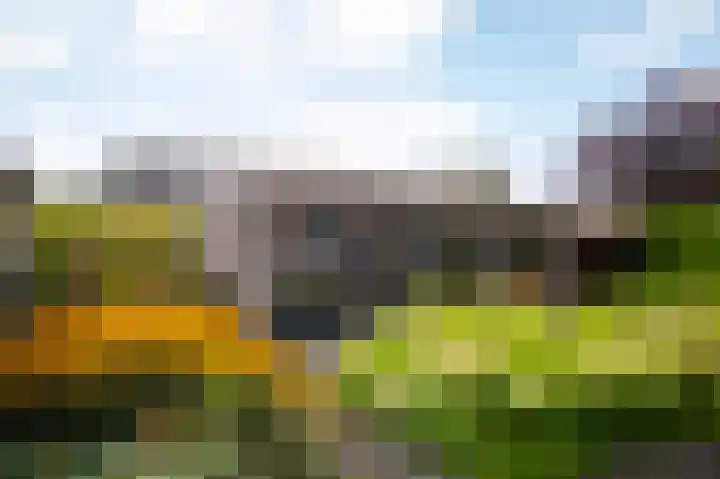 Roebol 13 Genemuiden thumbnail 37