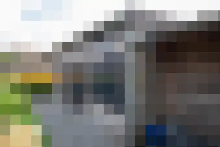 Roebol 13 Genemuiden thumbnail 38