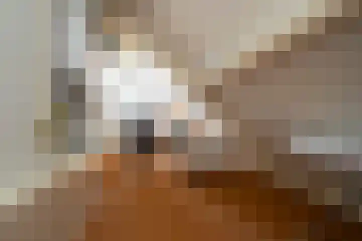 Roebol 13 Genemuiden thumbnail 45