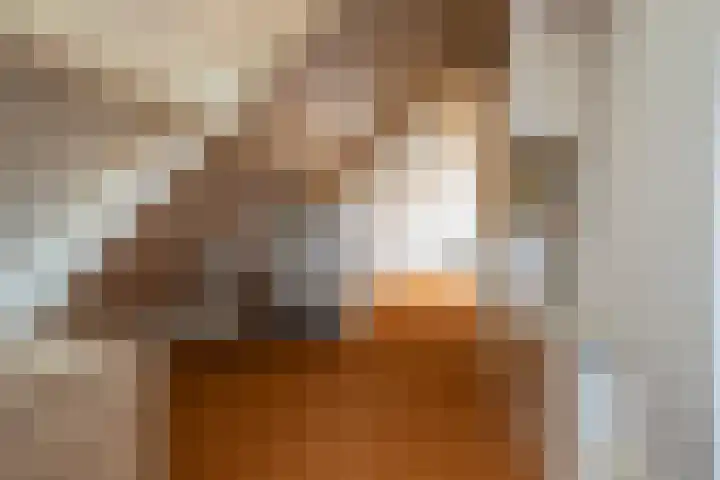 Roebol 13 Genemuiden thumbnail 47