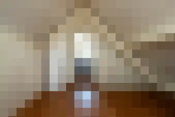 Roebol 13 Genemuiden thumbnail 55