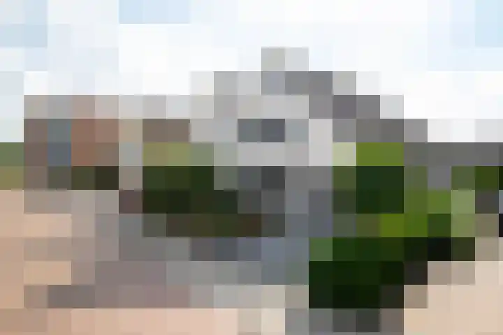 Roebol 13 Genemuiden thumbnail 9
