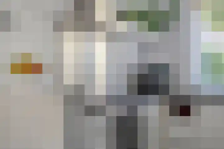 Roedelhof 2 Oss thumbnail 17