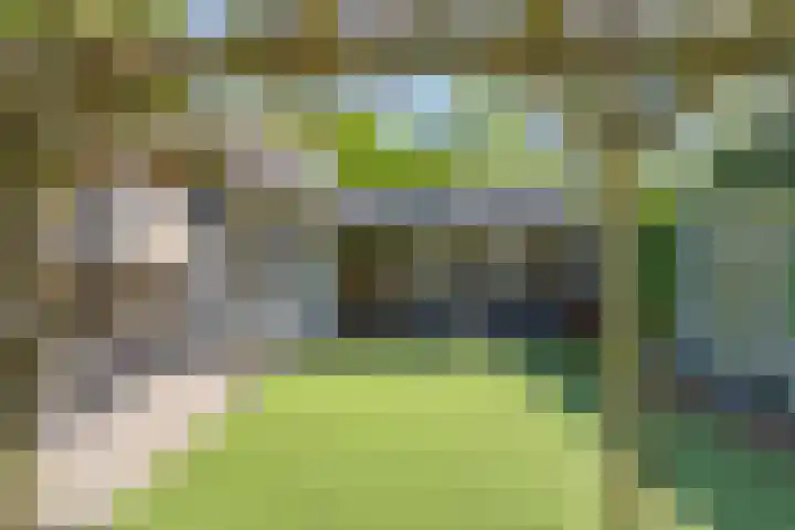 Roedelhof 2 Oss thumbnail 19