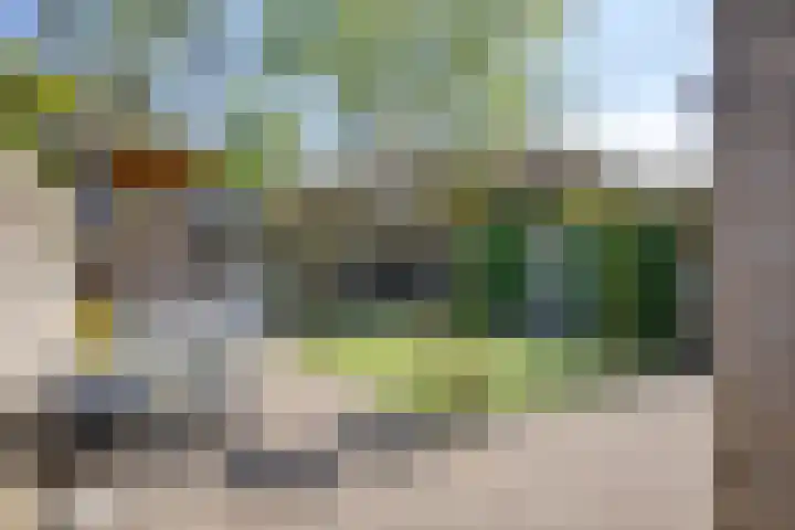 Roedelhof 2 Oss thumbnail 20