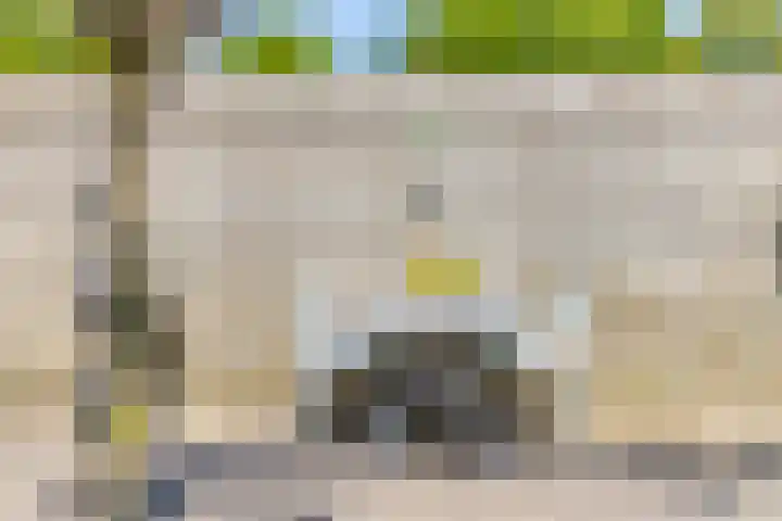 Roedelhof 2 Oss thumbnail 21