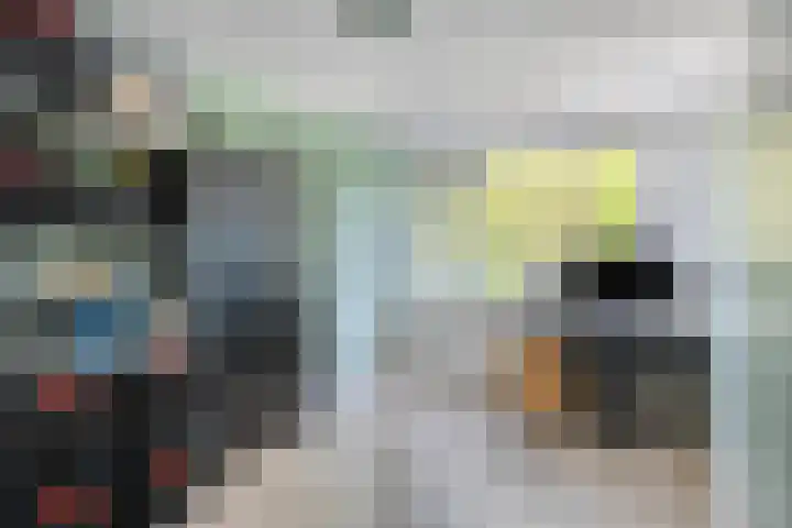 Roedelhof 2 Oss thumbnail 33