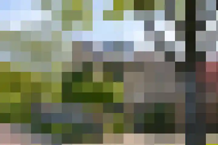 Roedelhof 2 Oss thumbnail 38