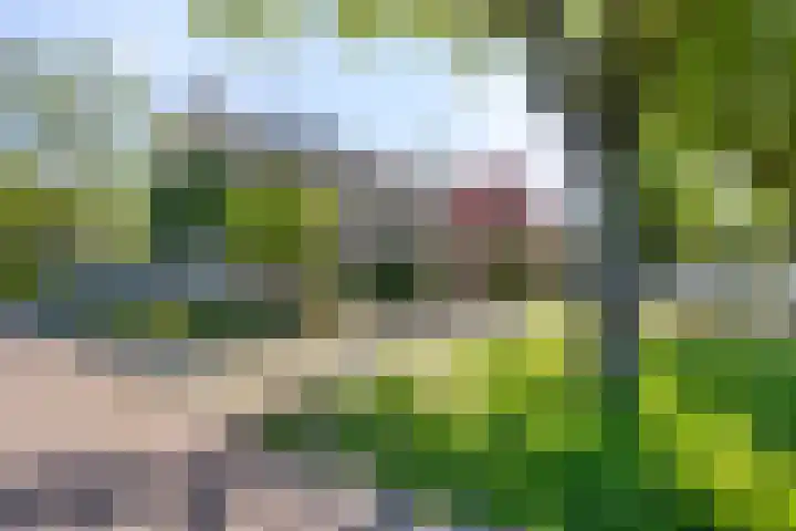 Roedelhof 2 Oss thumbnail 39