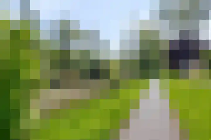 Roedelhof 2 Oss thumbnail 42