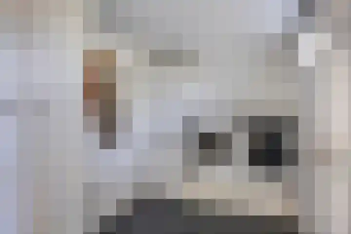 Roedelhof 2 Oss thumbnail 7
