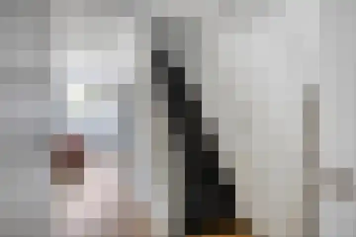Roedelhof 2 Oss thumbnail 9