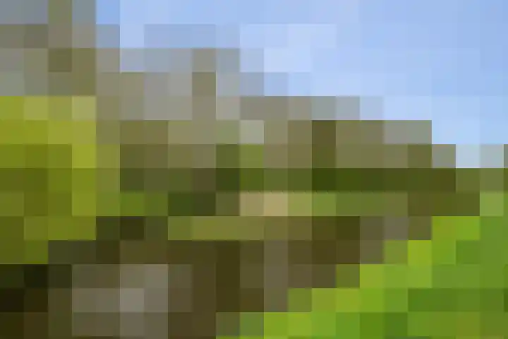 Roedestraat 95 Purmerend thumbnail 23