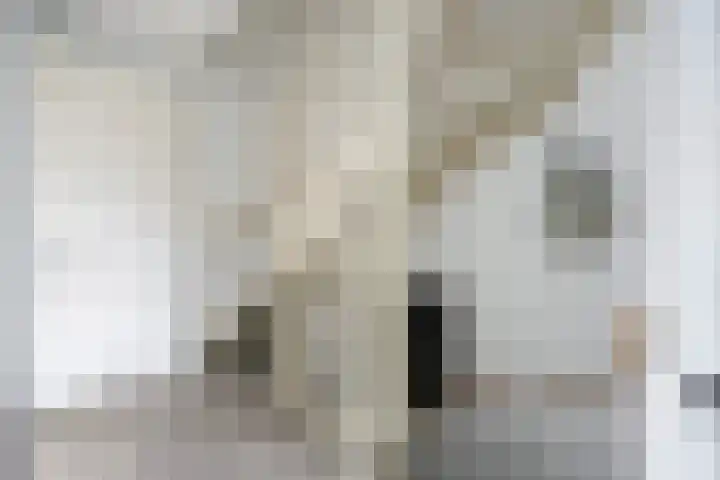 Roef 49 Meppel thumbnail 12