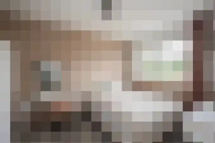 Roef 49 Meppel thumbnail 14
