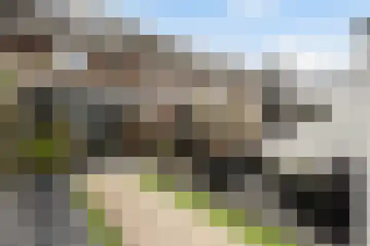 Roef 49 Meppel thumbnail 25