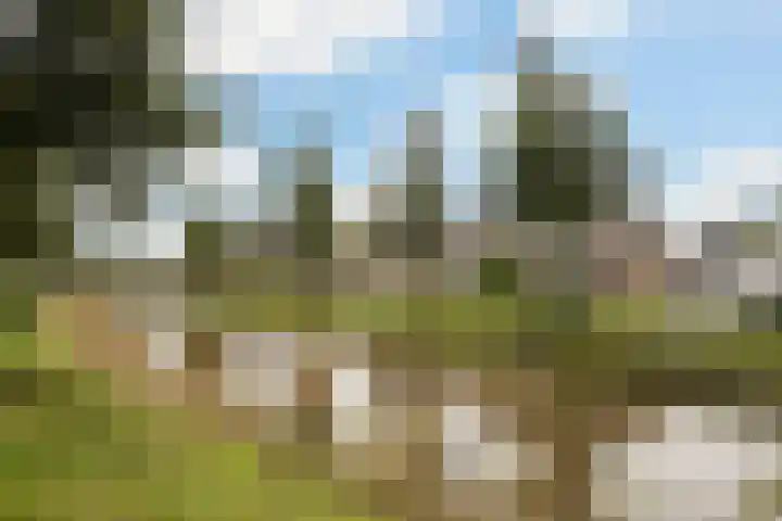 Roef 49 Meppel thumbnail 28