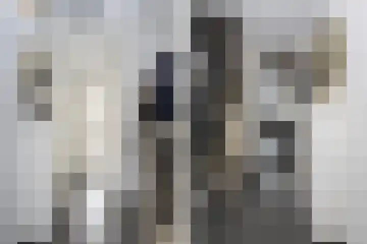 Roef 49 Meppel thumbnail 6