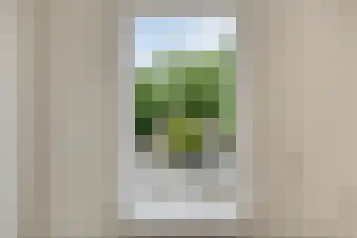 Roegoorn 14 Assen thumbnail 10