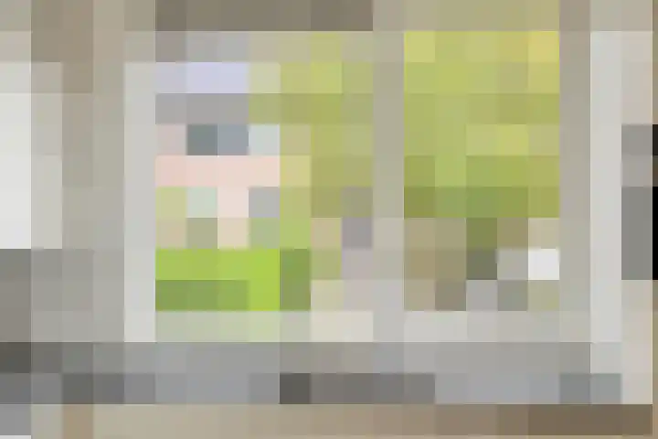 Roegoorn 14 Assen thumbnail 14