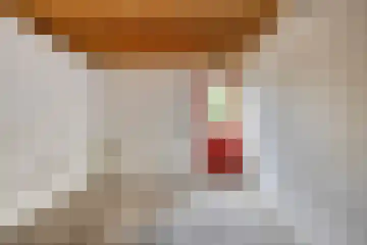 Roegoorn 14 Assen thumbnail 29