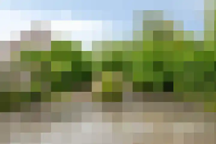 Roegoorn 14 Assen thumbnail 31