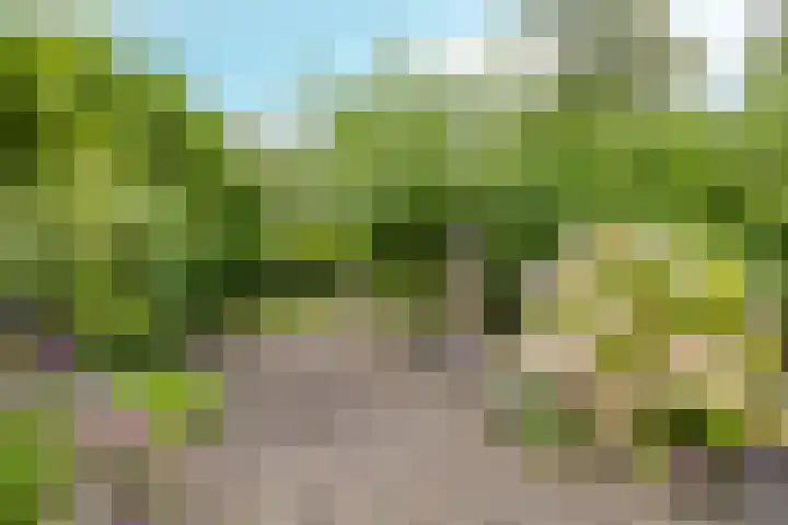 Roegoorn 14 Assen thumbnail 32