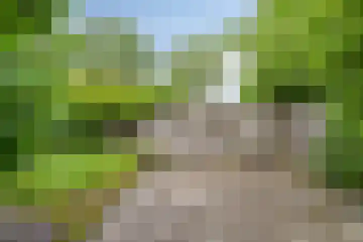 Roegoorn 14 Assen thumbnail 33