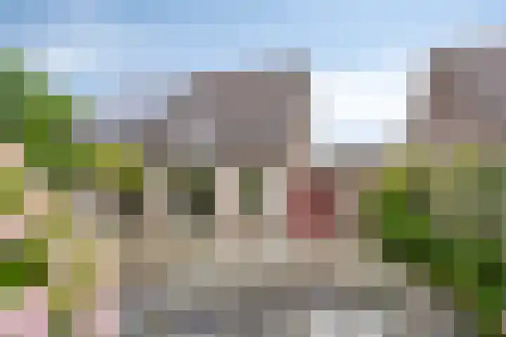 Roegoorn 14 Assen thumbnail 34
