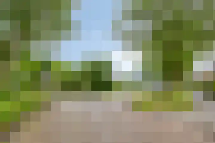 Roegoorn 14 Assen thumbnail 37