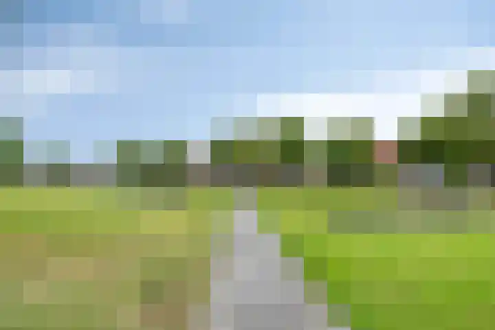 Roegoorn 14 Assen thumbnail 39