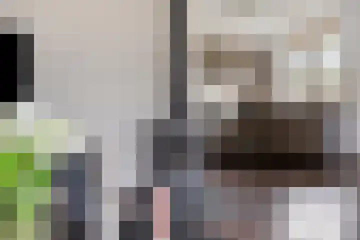 Roegte 16 Appelscha thumbnail 10