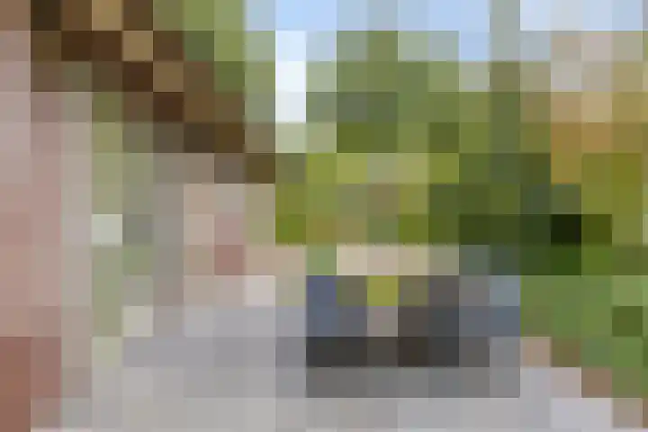 Roegte 16 Appelscha thumbnail 35