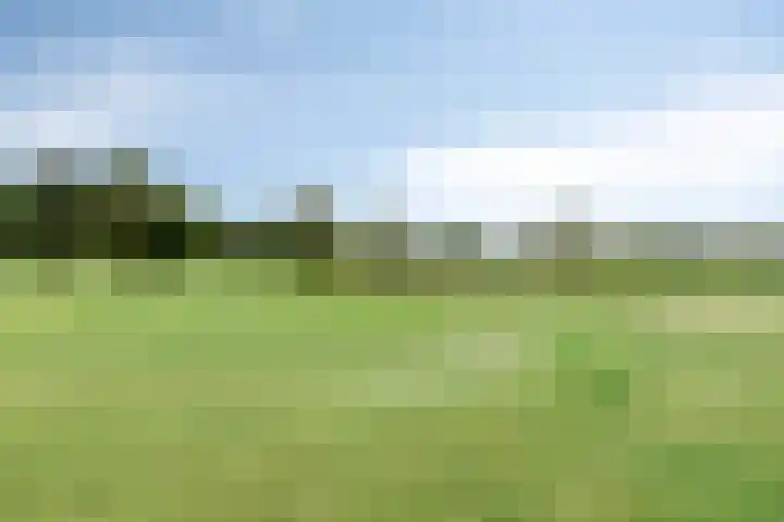 Roegte 16 Appelscha thumbnail 37