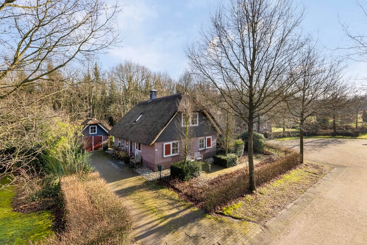 Roegte 31 in Appelscha foto