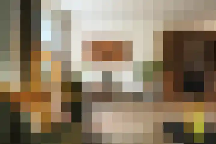 Roek 11 Sprang-Capelle thumbnail 13