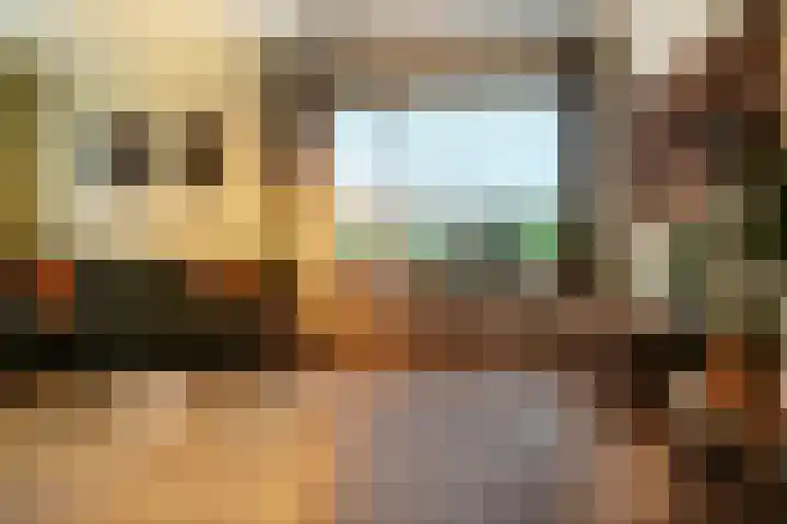 Roek 11 Sprang-Capelle thumbnail 17