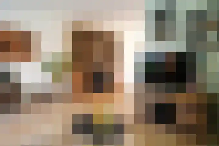Roek 11 Sprang-Capelle thumbnail 19