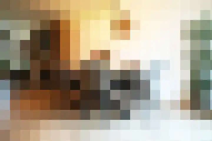 Roek 11 Sprang-Capelle thumbnail 20