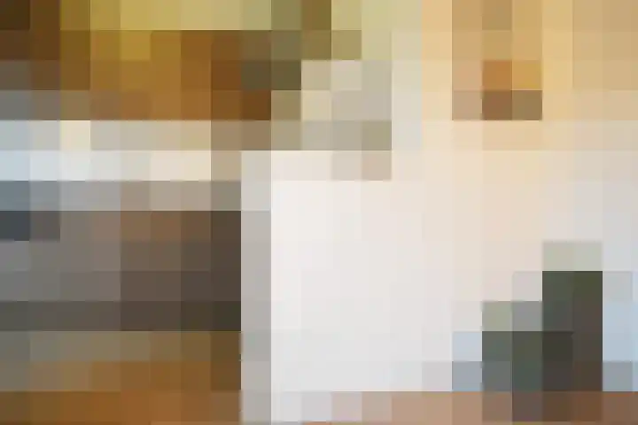 Roek 11 Sprang-Capelle thumbnail 22