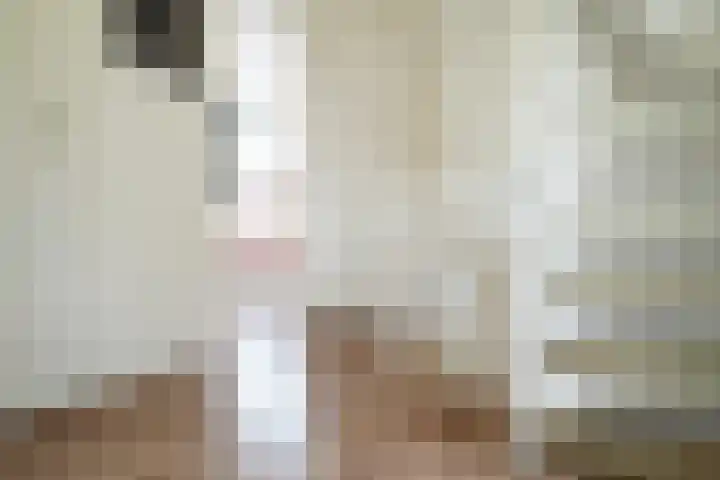 Roek 11 Sprang-Capelle thumbnail 30