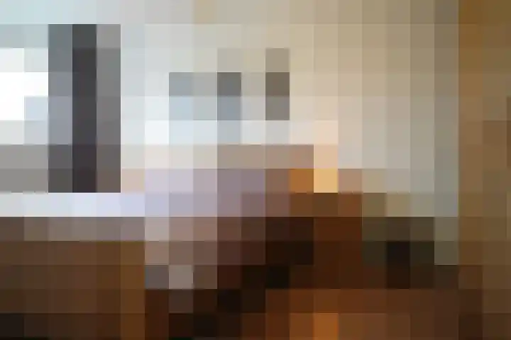 Roek 11 Sprang-Capelle thumbnail 32