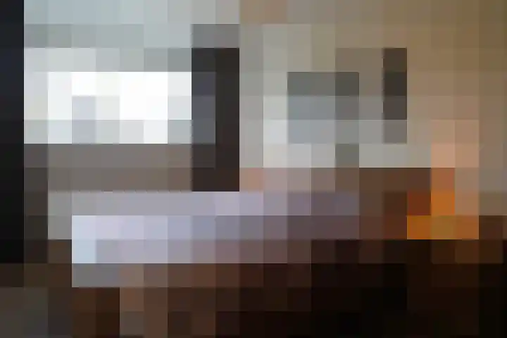 Roek 11 Sprang-Capelle thumbnail 34
